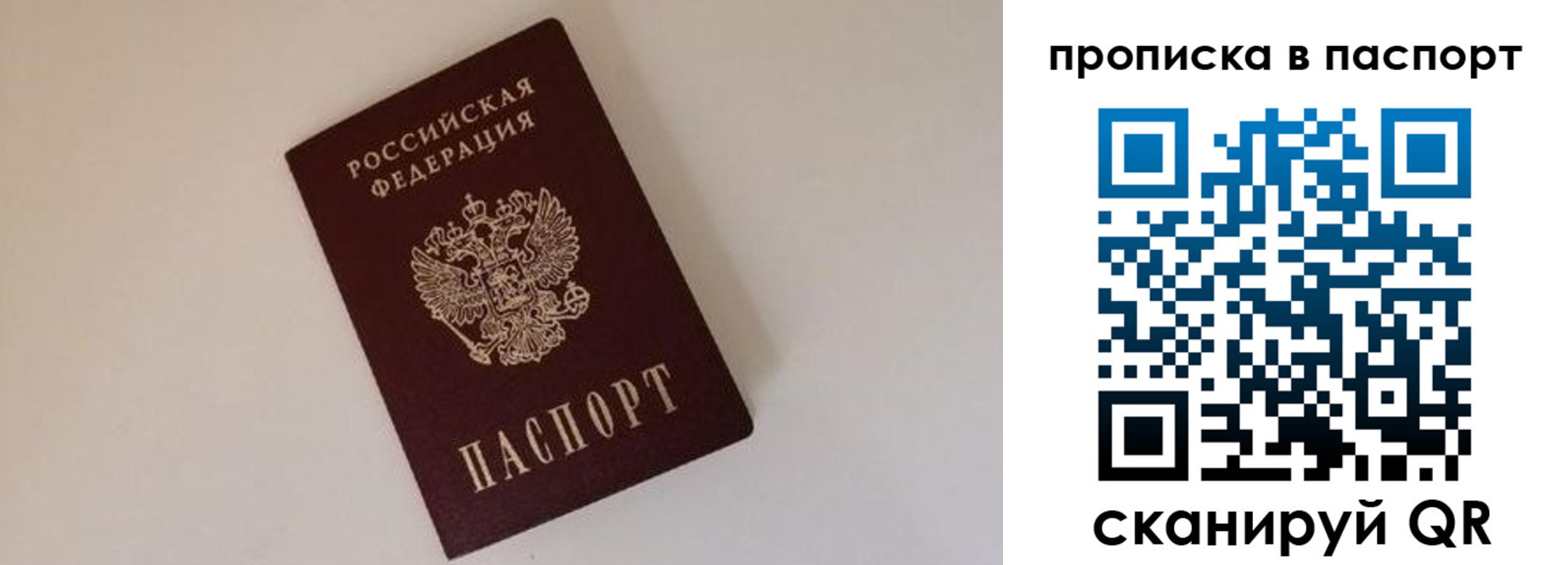прописка регистрация в Мытищах